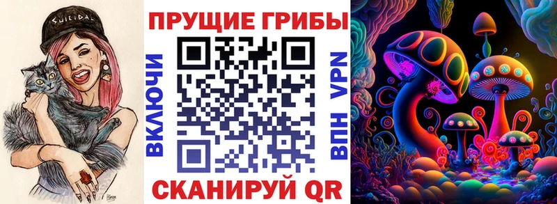 мега как войти Завитинск Псилоцибиновые грибы ЛСД